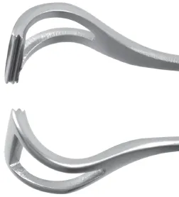 Babcock Forceps