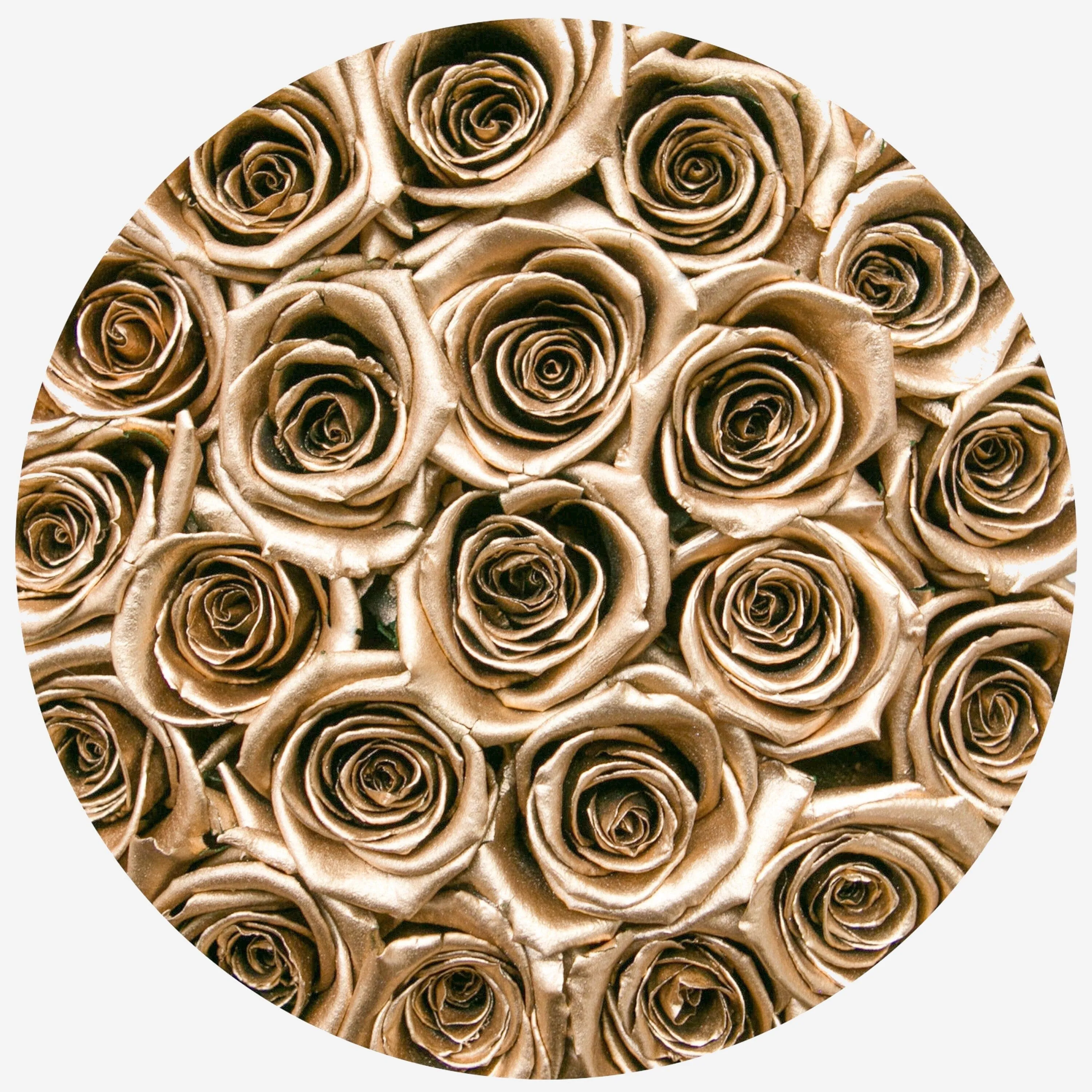 Classic Black Box | Gold Roses