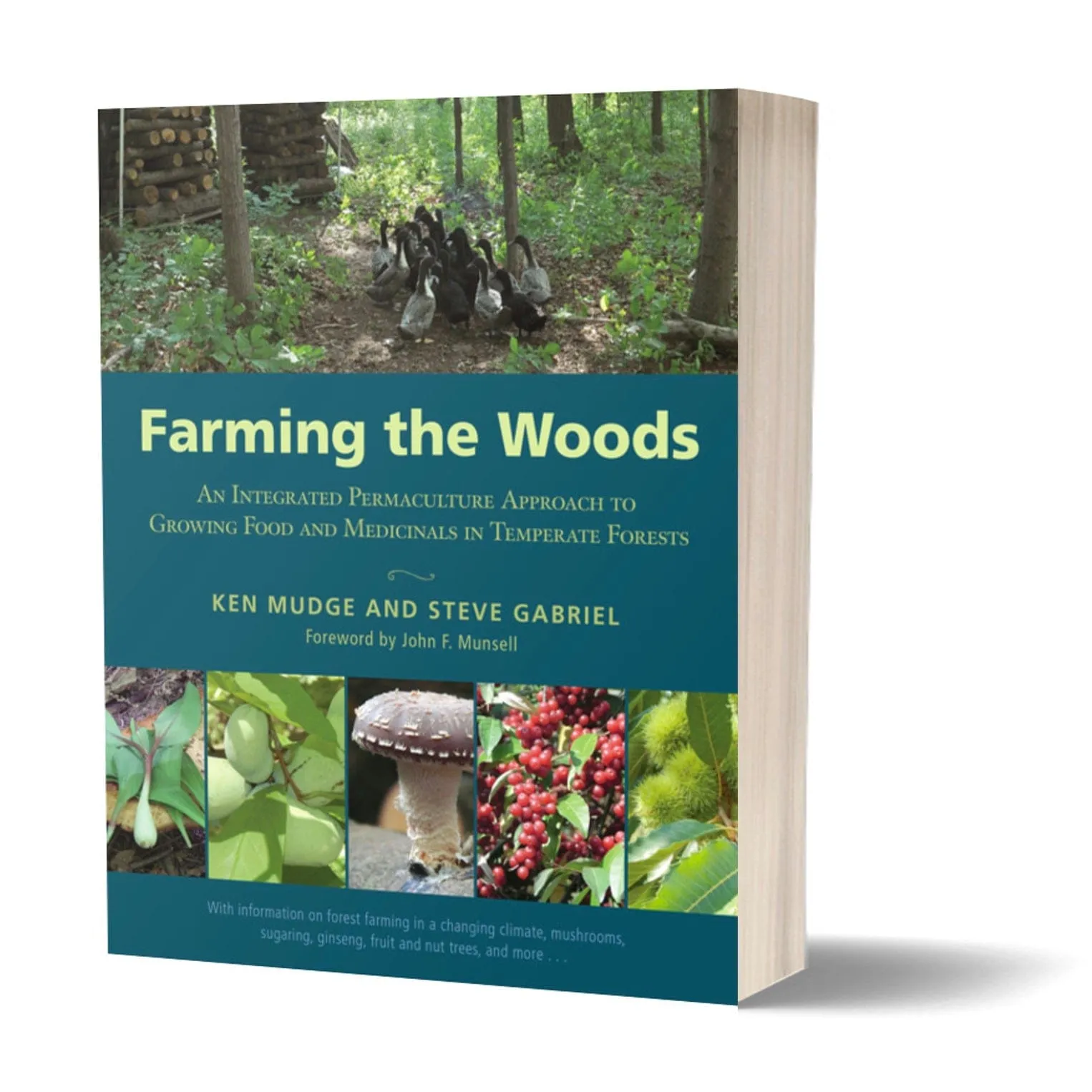 Farming the Woods: An Integrated Permaculture Approach