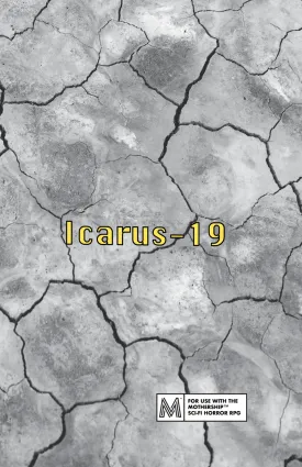 Icarus-19   PDF